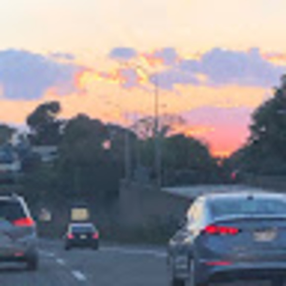 Meet your Posher, Celia - Picture 1 of 1